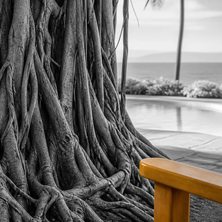 Maui Banyan Resort: a refined coastal escape in south Kihei