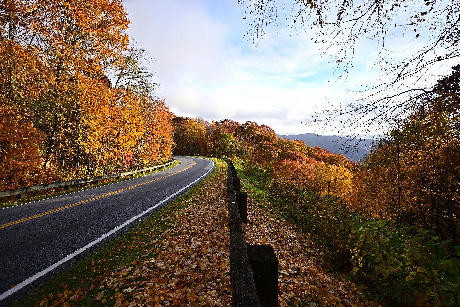 Newfound Gap Road curving through orange and gold autumn forest in Great Smoky Mountains National Park
