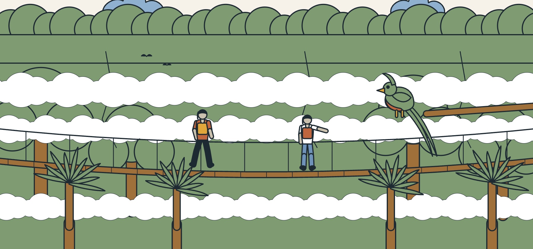 Illustration of a suspension bridge in the Monteverde cloud forest, with mist, tree ferns and a quetzal