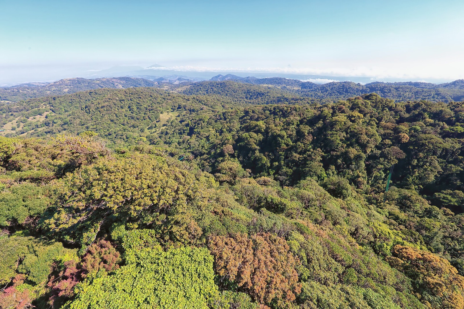 The forest canopy of Monteverde cloud forest in Costa Rica seen from above, with mountains behind