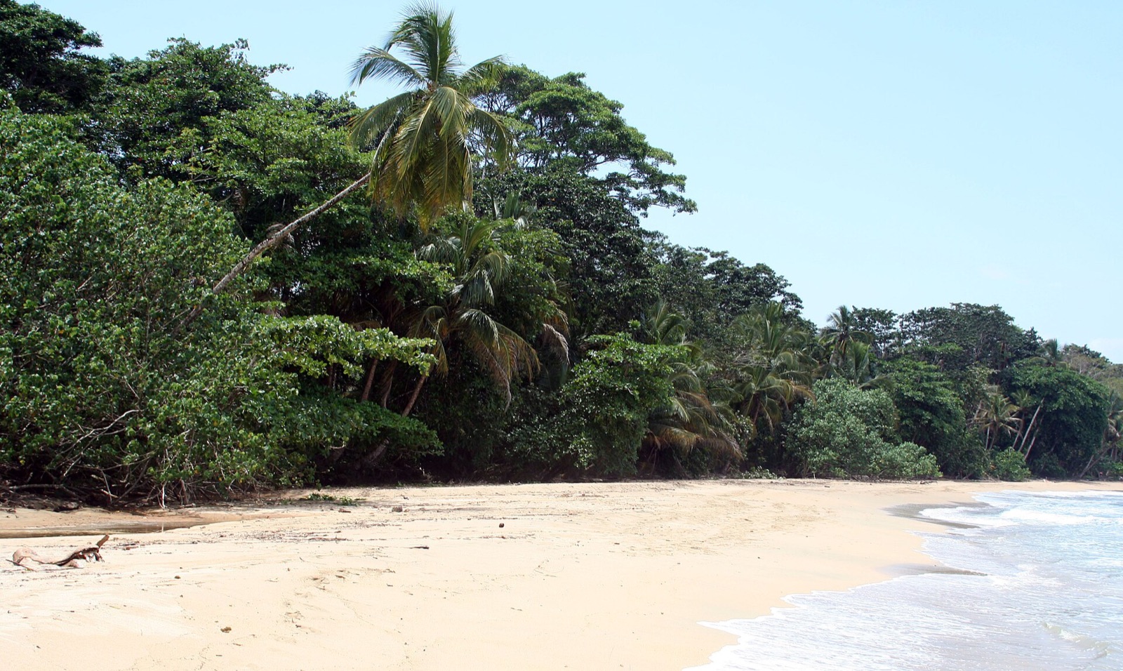 Palm-fringed beach at Puerto Viejo de Talamanca on the Caribbean coast of Costa Rica