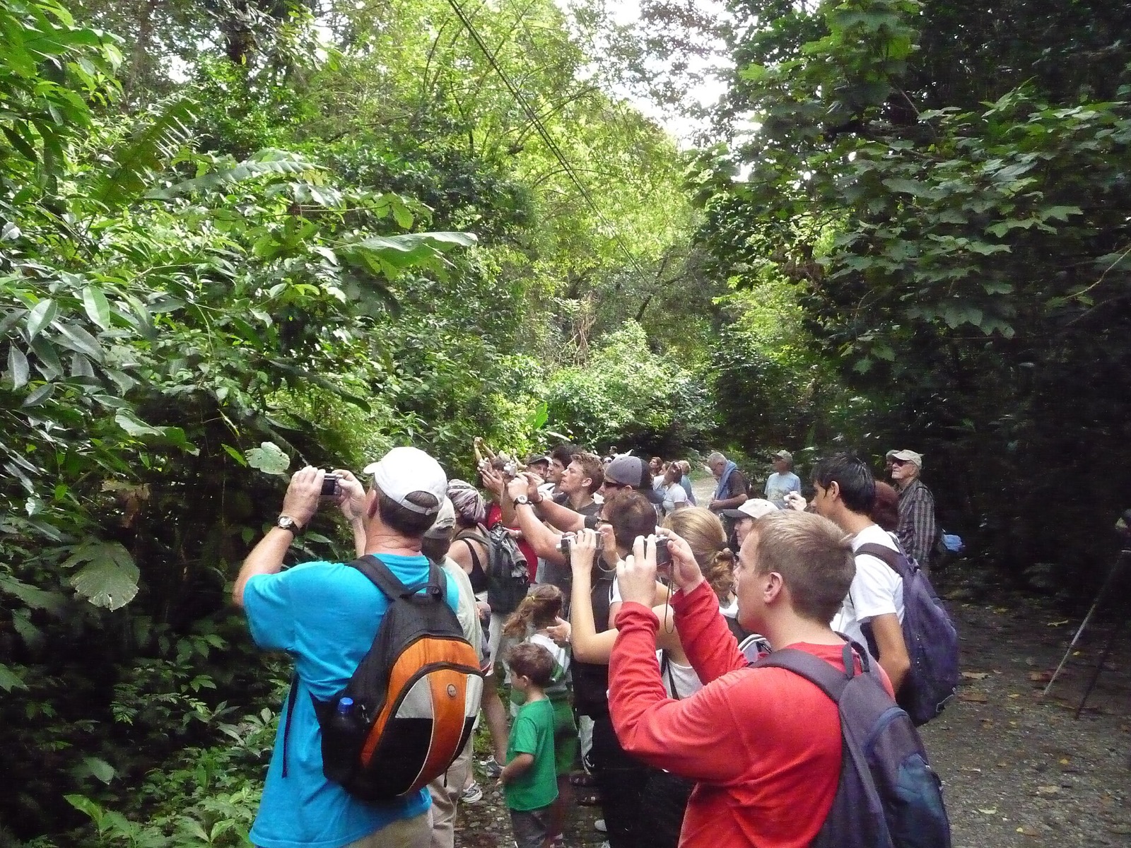 Visitors on a forest trail in Rincon de la Vieja National Park, Guanacaste, Costa Rica