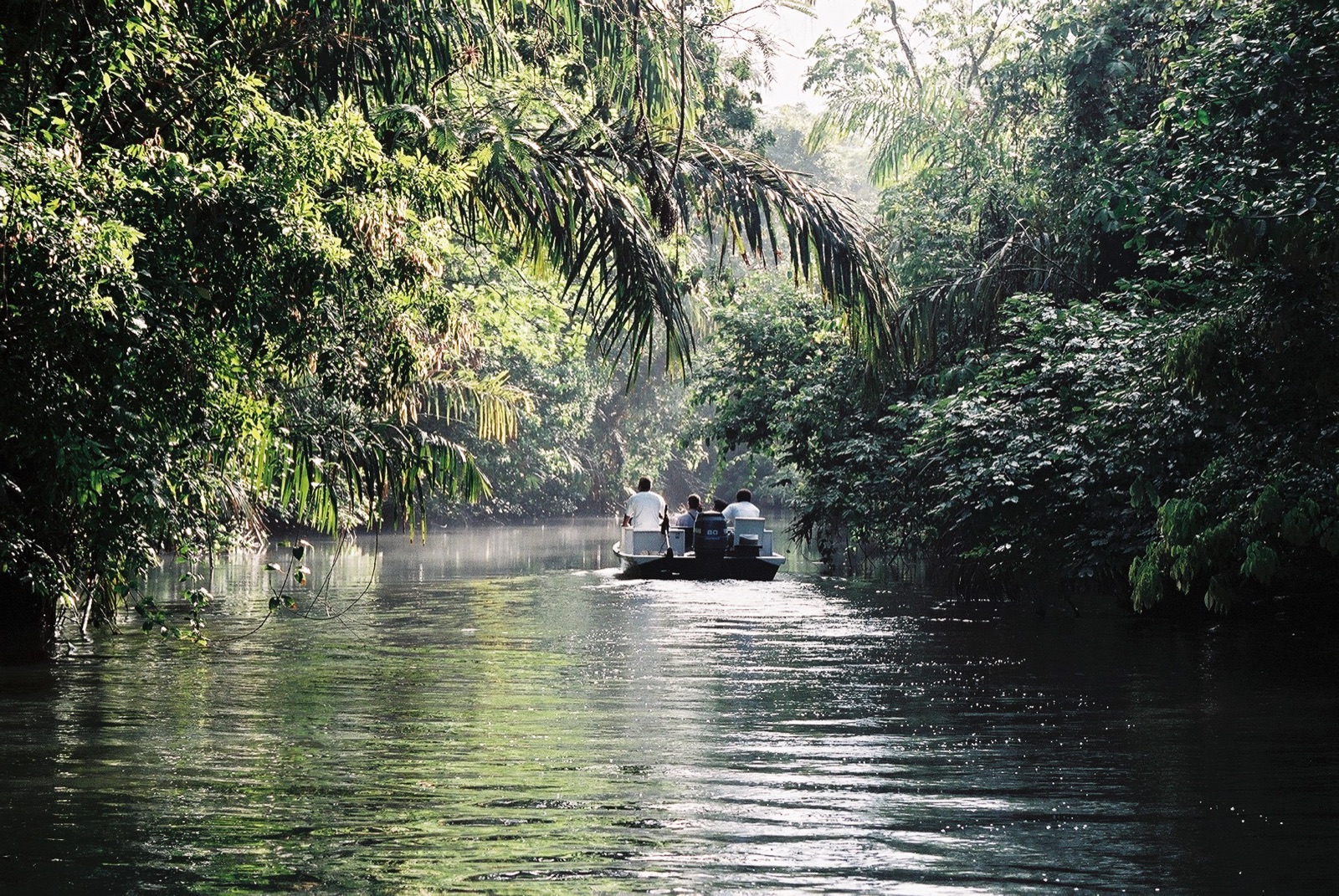 A boat on a canal in Tortuguero National Park, Costa Rica, with dense rainforest on both banks