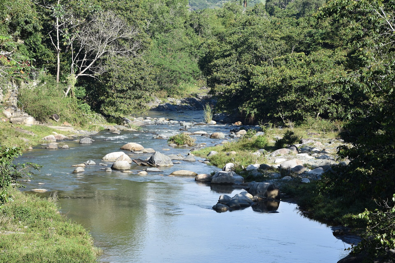 The Rio Jimenoa running over boulders through forest near Jarabacoa in the Dominican highlands