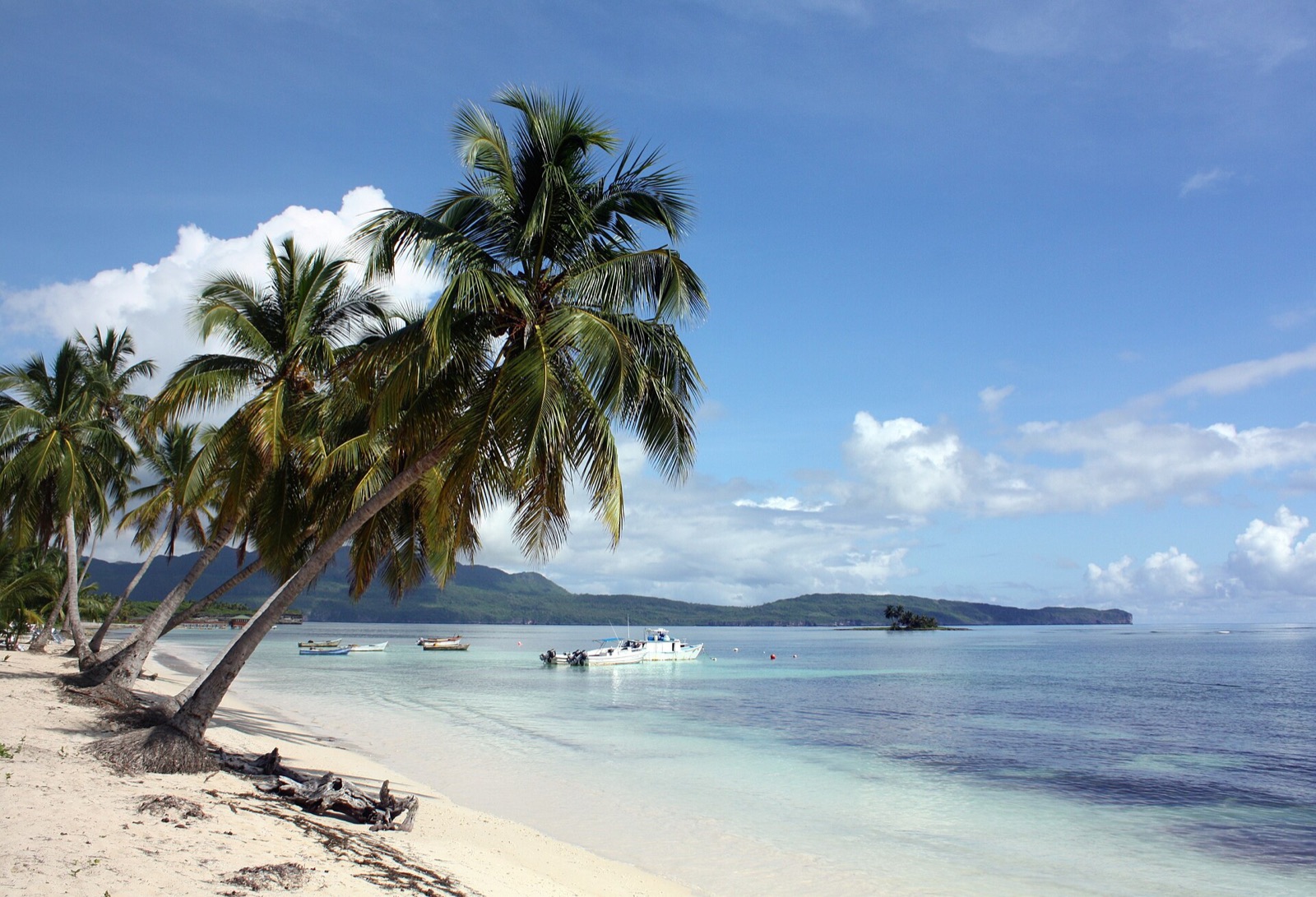 Palms leaning over a calm bay with small boats at Las Galeras on the Samana peninsula