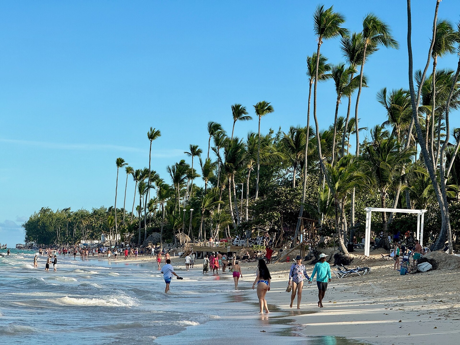 Playa Bavaro in Punta Cana, coconut palms leaning over the sand and swimmers in the shallows