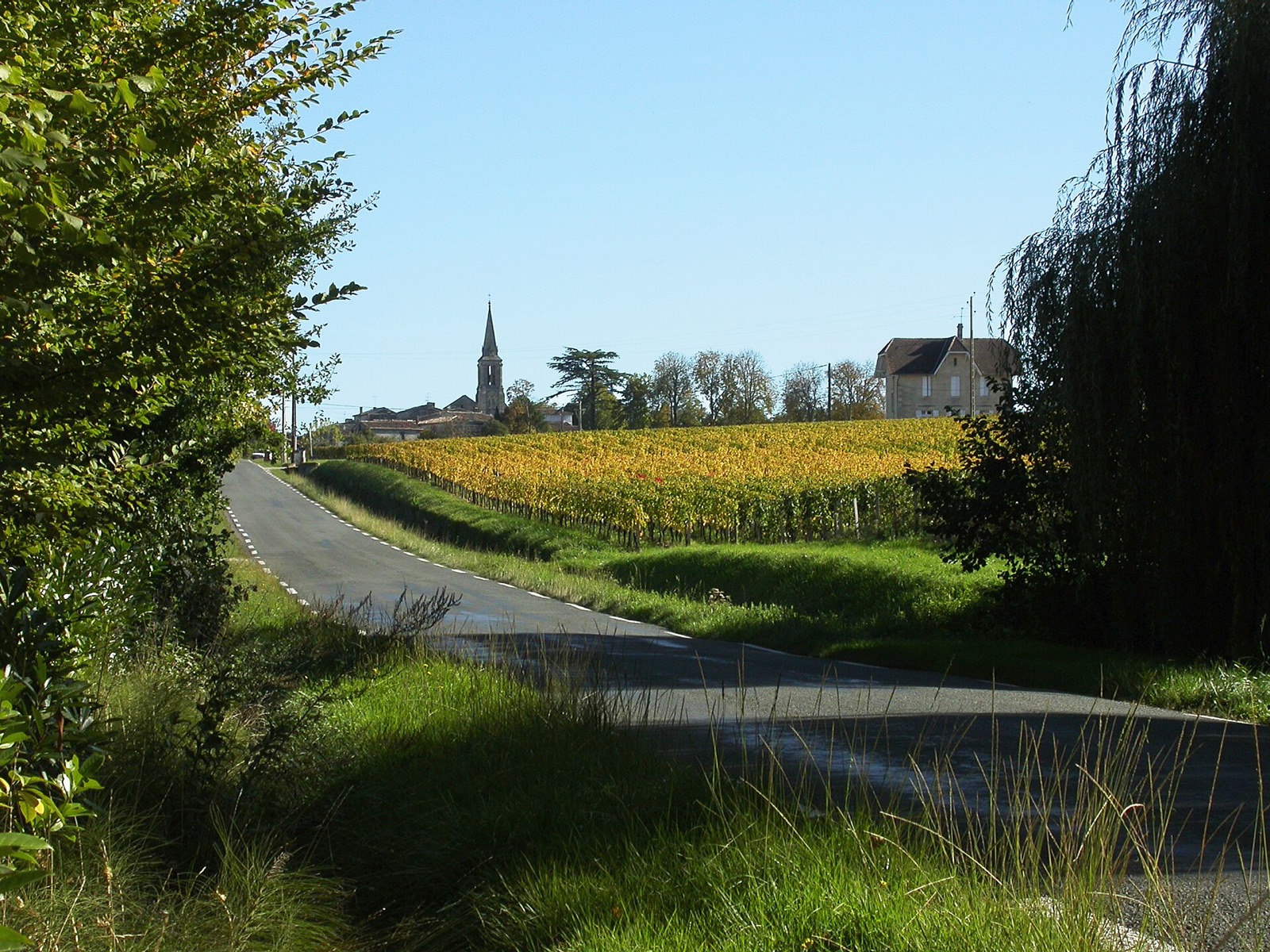 Vineyards in autumn colour around the village of Saint-Christophe-des-Bardes near Saint-Emilion in the Gironde