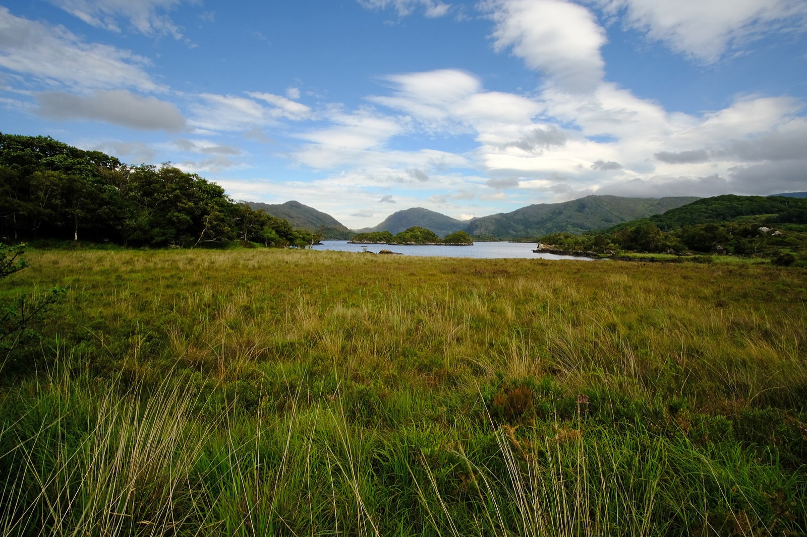 Open ground and lake water in Killarney National Park with mountains behind
