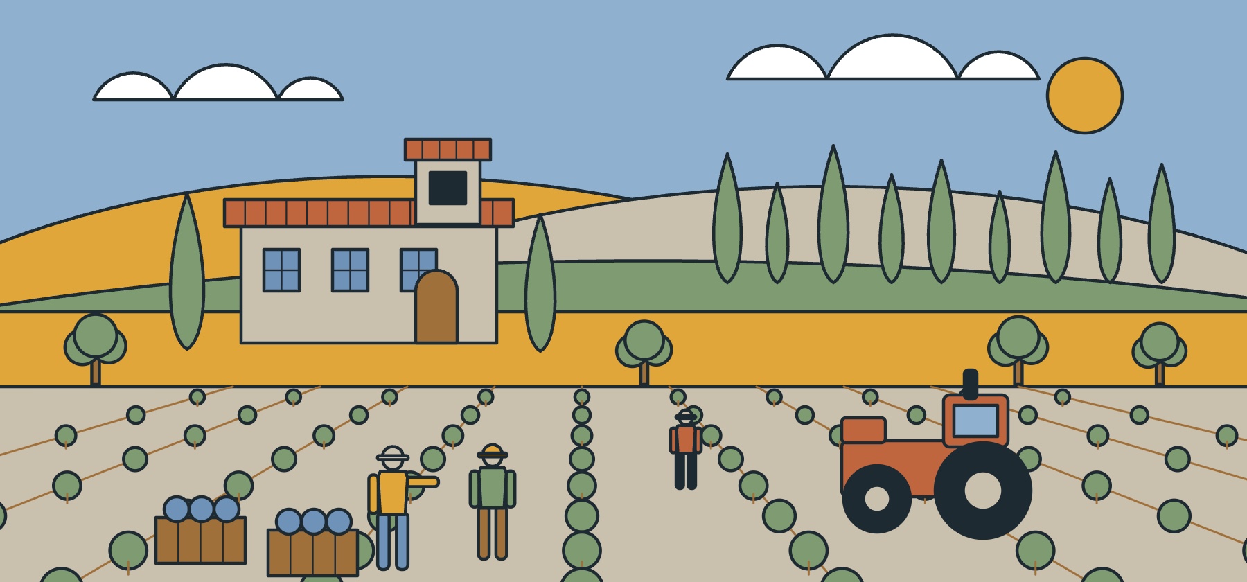 Illustration of a farm in the Sienese hills in September with rows of vines, a line of cypresses, a tractor and crates of grapes