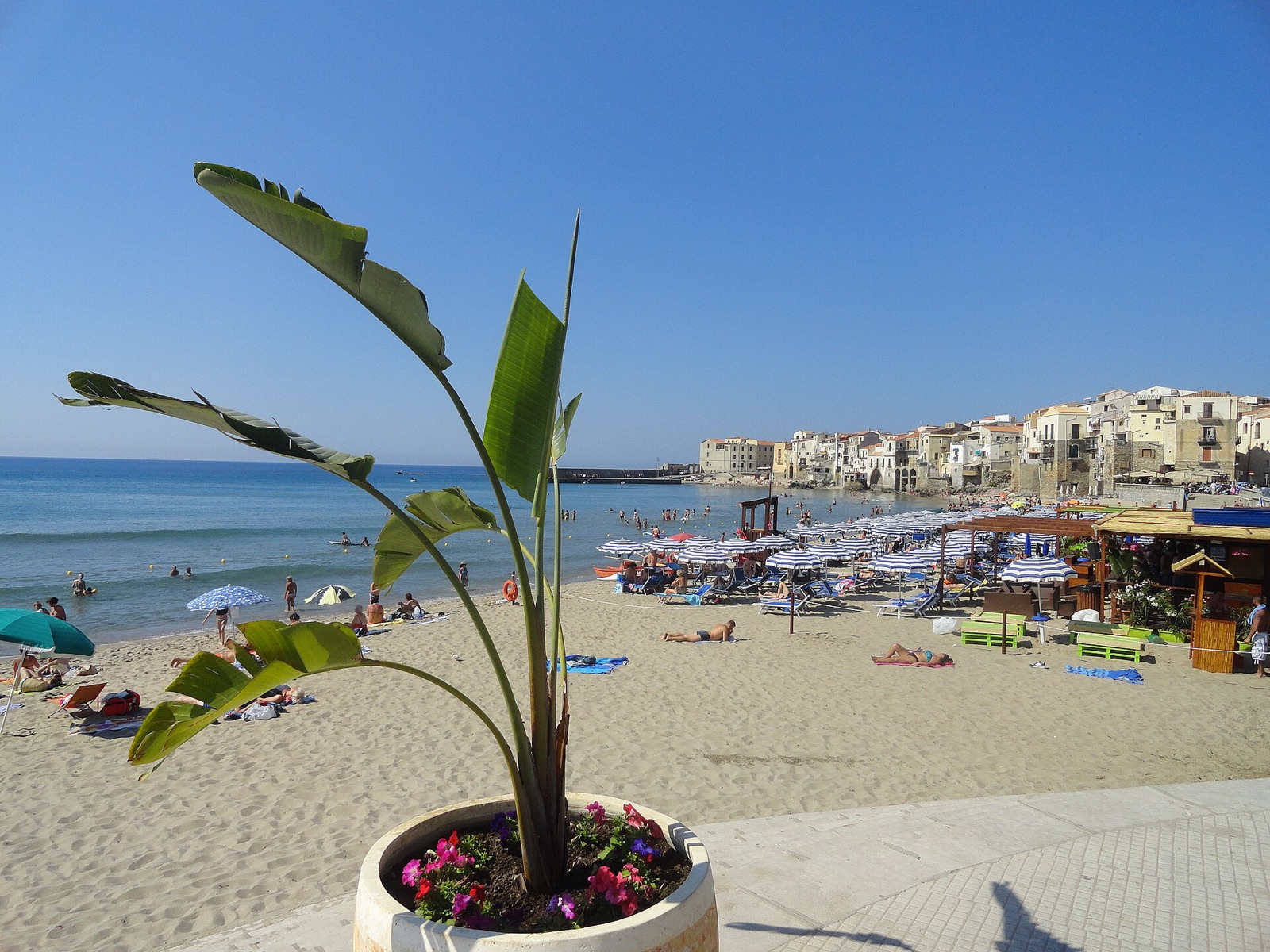 The beach at Cefalu in Sicily with swimmers in the sea and the old town houses rising directly behind the sand
