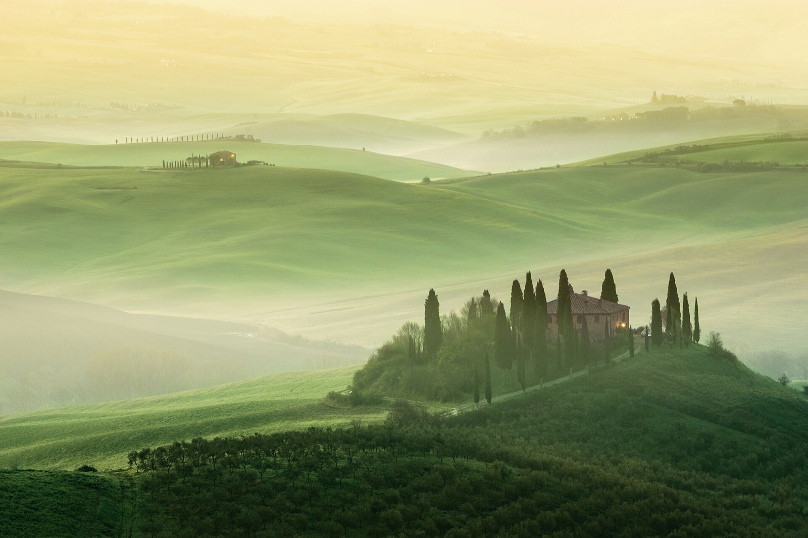 Green rolling hills of the Val d'Orcia in Tuscany with a farmhouse and a line of cypress trees in morning light