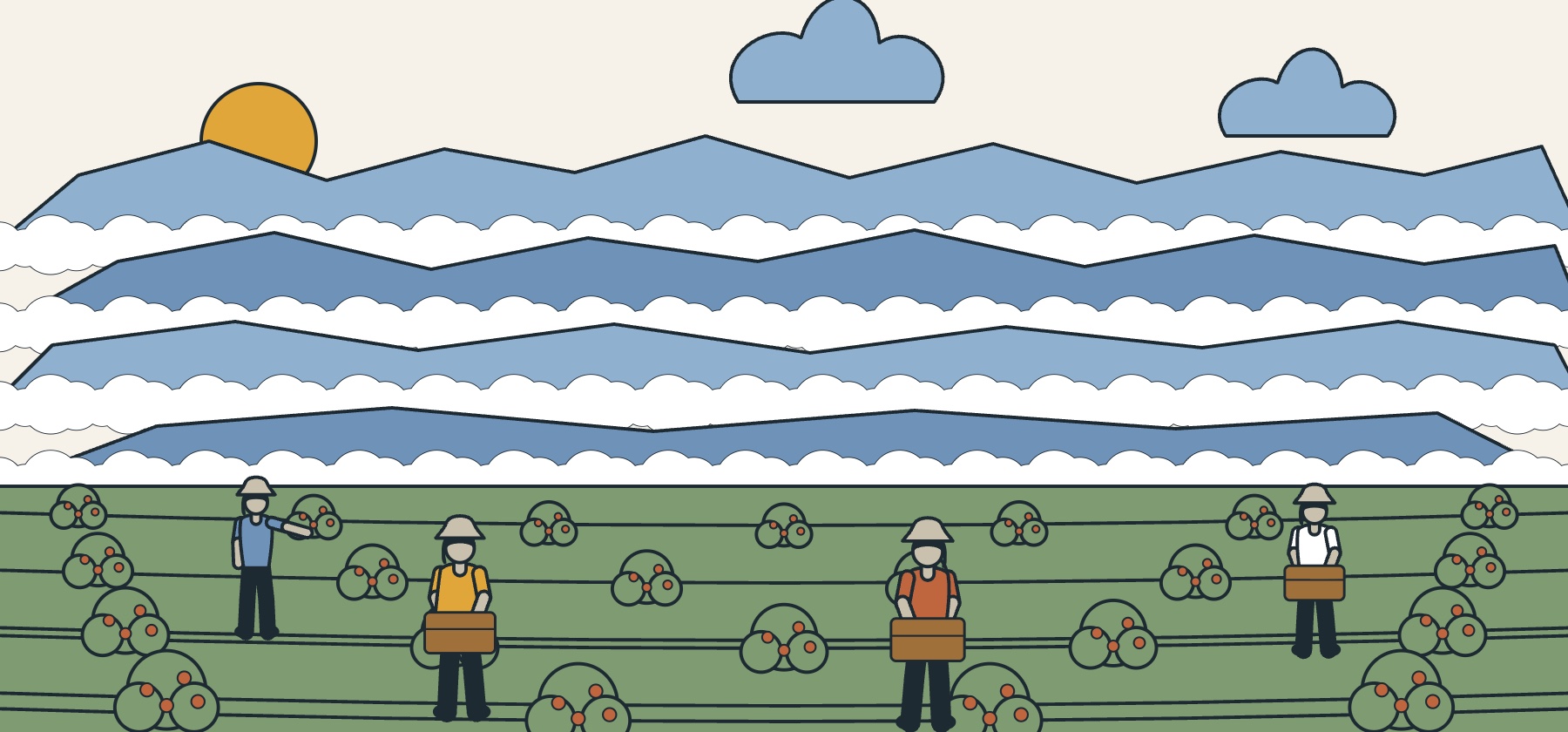 Illustration of the Blue Mountains at dawn with terraced coffee bushes and pickers carrying baskets