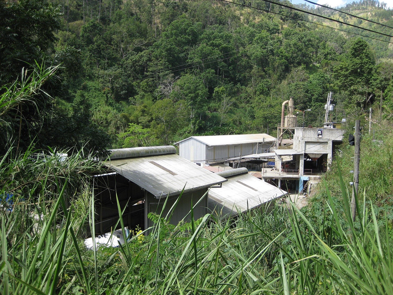 The Mavis Bank coffee factory in the Blue Mountains above Kingston, Jamaica